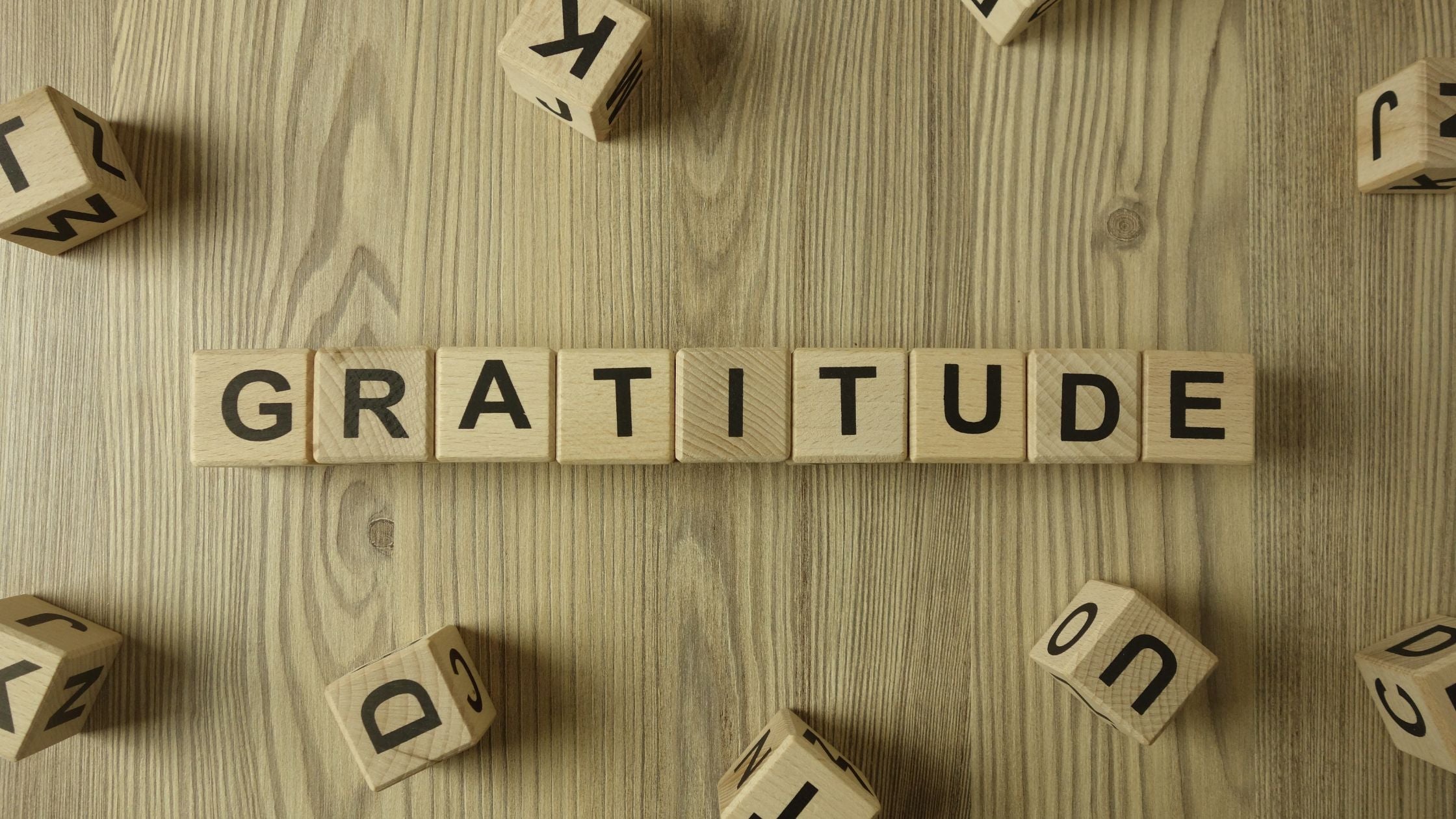 An Attitude of Gratitude | Happy Thanksgiving Day
